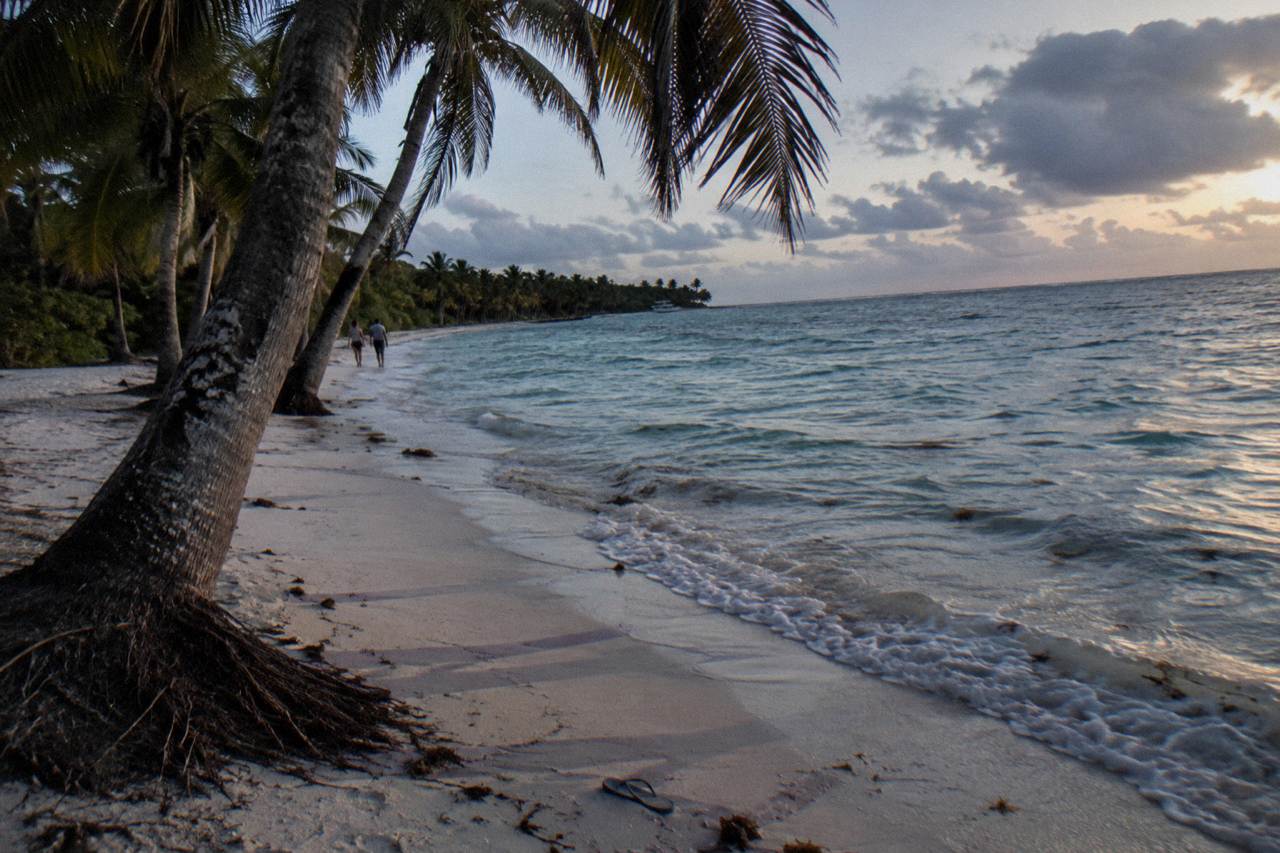 Palm trees leaning over an empty white sand beach beside calm turquoise water at dusk
