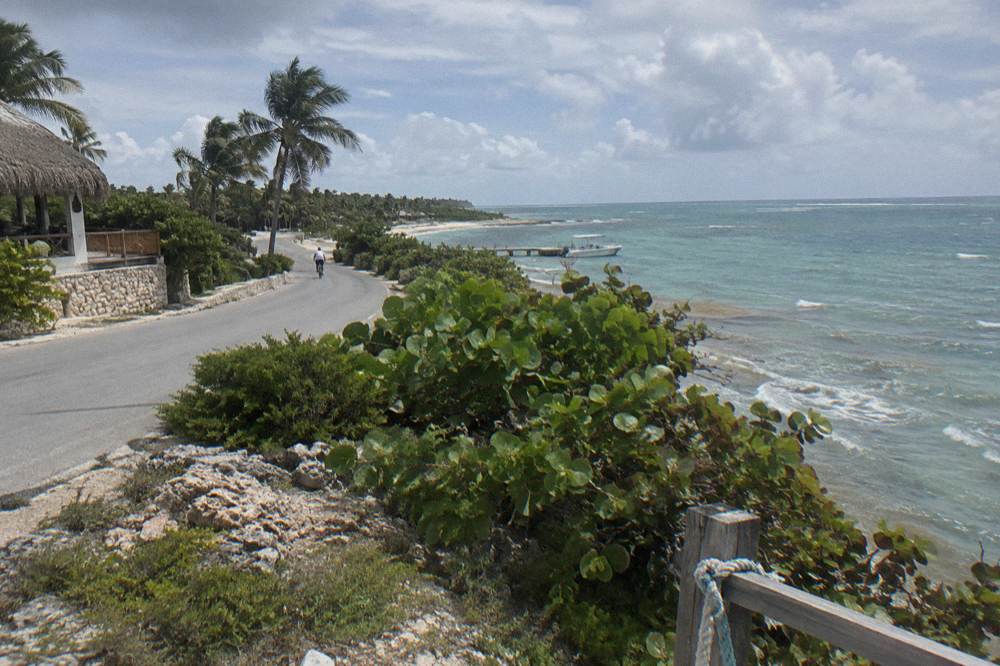A coastal highway curving beside palm trees with calm Caribbean water beyond