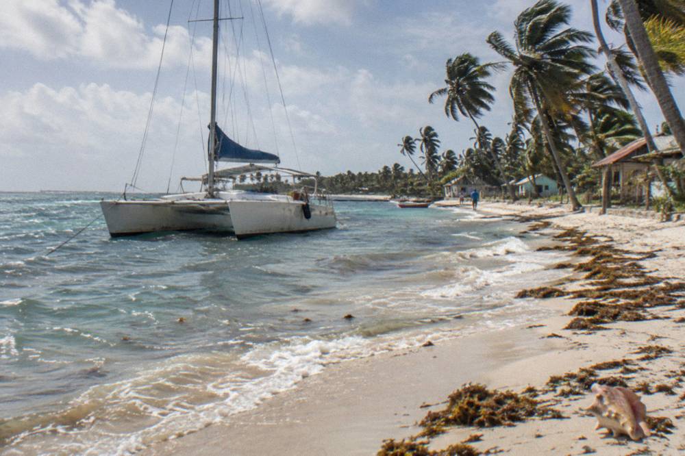 Catamaran moored off a palm-lined white sand beach at Saona Island