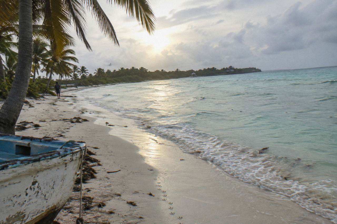 White sand beach and calm turquoise water at Saona Island with palm trees