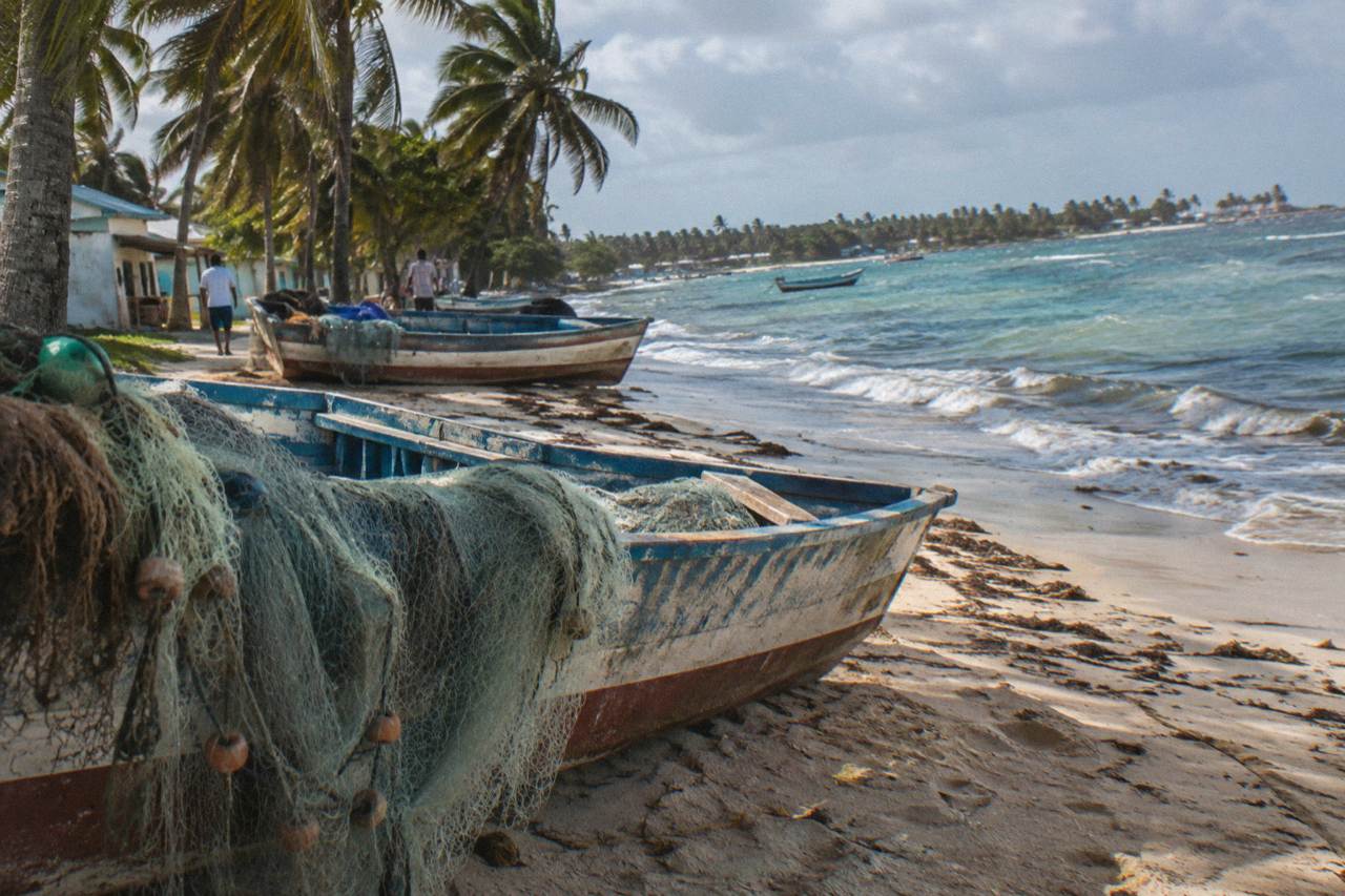 Wooden fishing boats resting on a calm Caribbean beach beside palm trees in late afternoon light