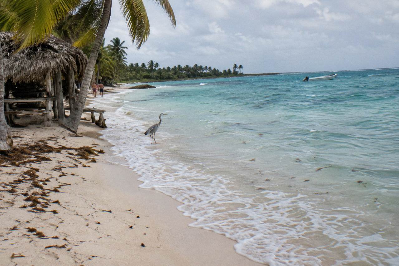 Turquoise shallow water and palm trees along a Caribbean island shoreline