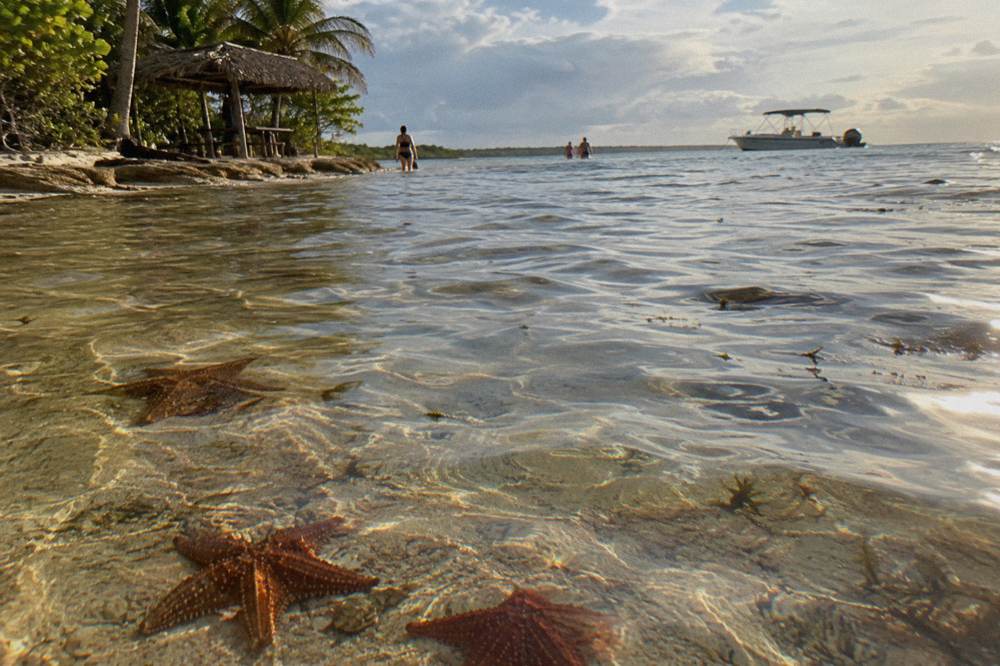 Shallow sandy natural pool with starfish on the seabed and a boat in the distance