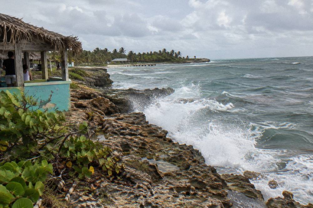 Waves breaking onto an open Atlantic beach with palm trees along the shore