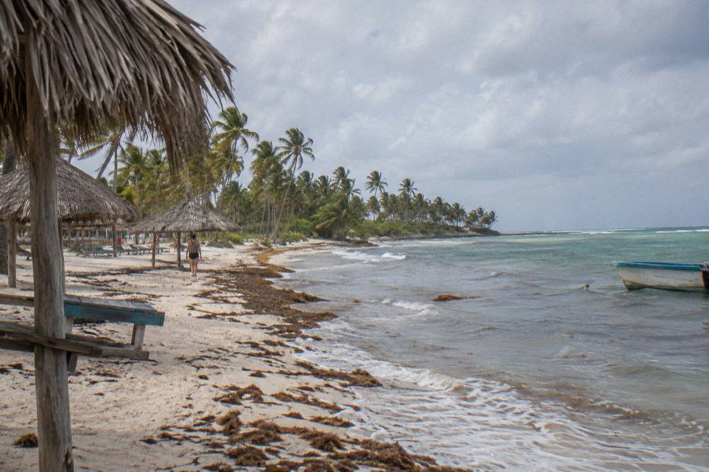 Palm-fringed white sand beach with thatched palm umbrellas along calm shallows