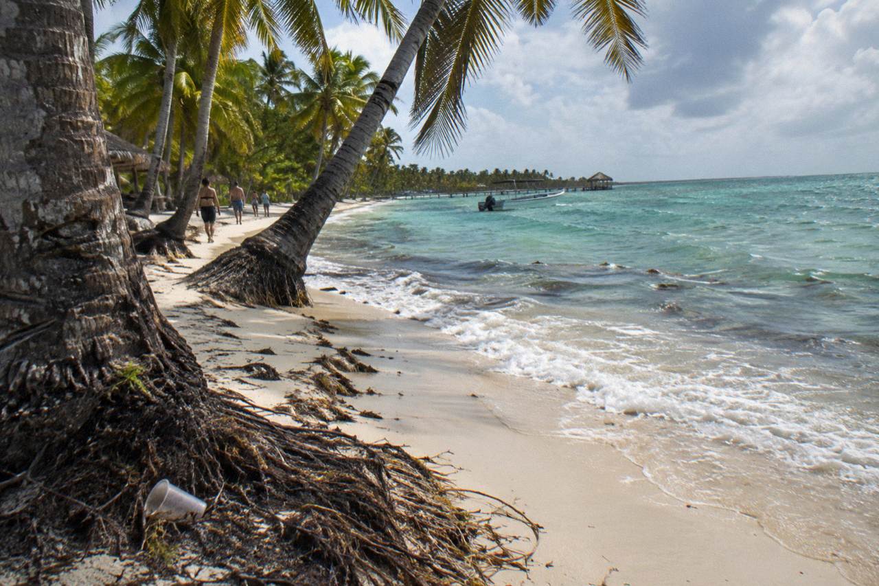 Wide Caribbean beach with palm trees and calm turquoise water along a shoreline