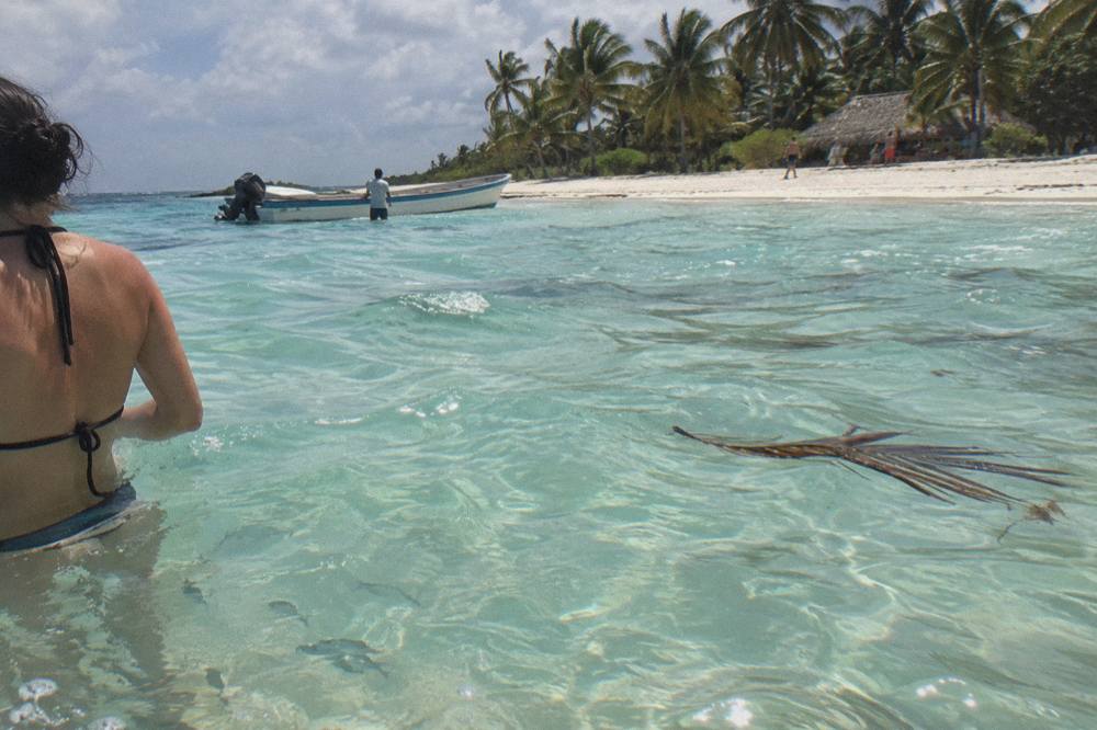 Turquoise shallow water along a wide Caribbean beach with palm trees
