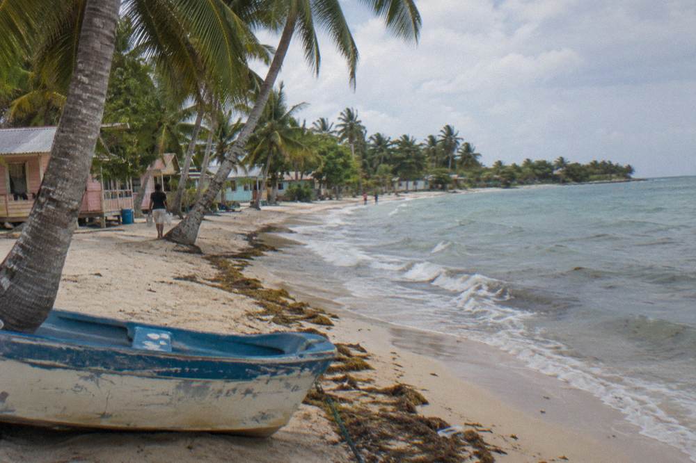 A calm palm shaded beach on the south side of an island with gentle waves