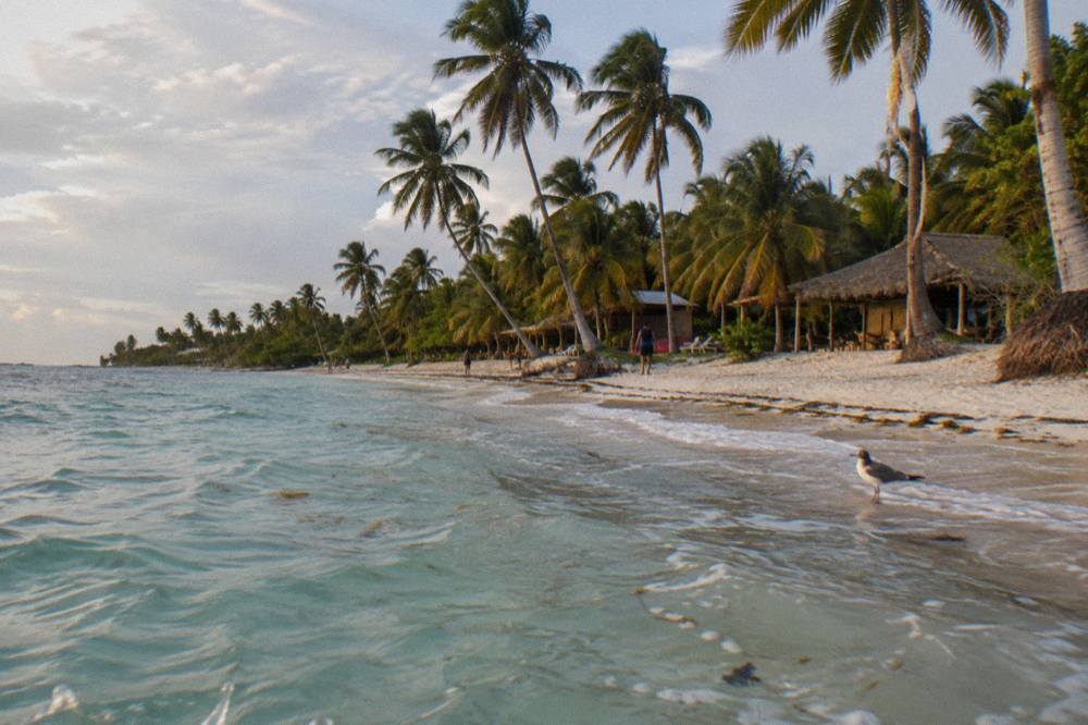 Long curved beach of pale sand meeting calm turquoise water, with coconut palms leaning over the shoreline