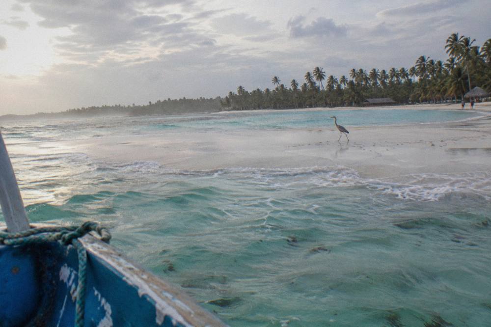 Turquoise shallow water stretching to a sandbar with a palm-lined shoreline in the distance