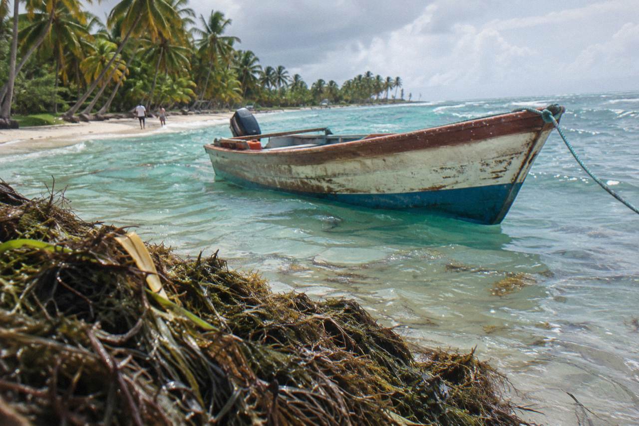 Wooden speedboat moored in shallow turquoise water beside a palm-lined white sand beach