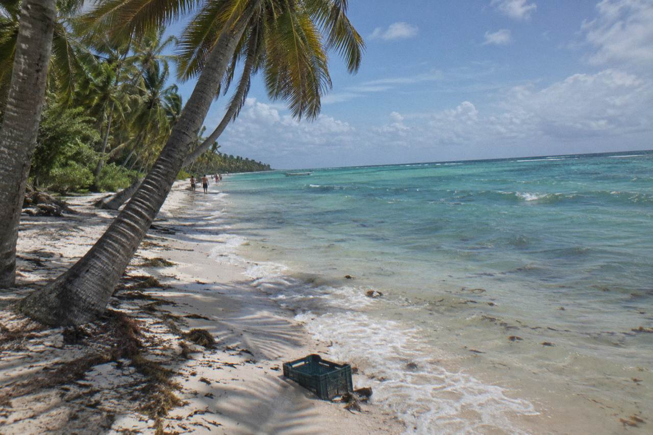 Wide Caribbean beach with calm turquoise water and palm trees on Saona Island