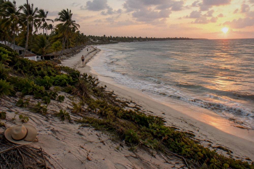 Empty Caribbean beach at golden hour with calm water and a line of palm trees