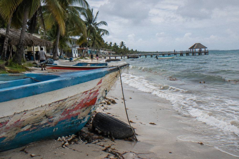 Small fishing boats resting on sand beside a calm bay lined with palm trees