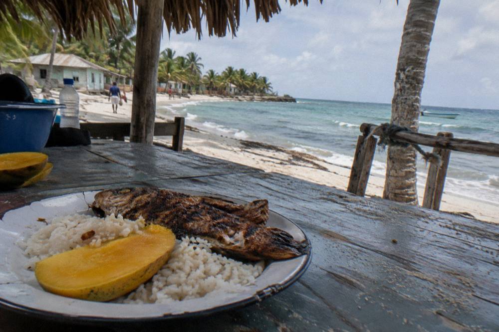 Buffet table with grilled fish, rice and tropical fruit under a thatched roof