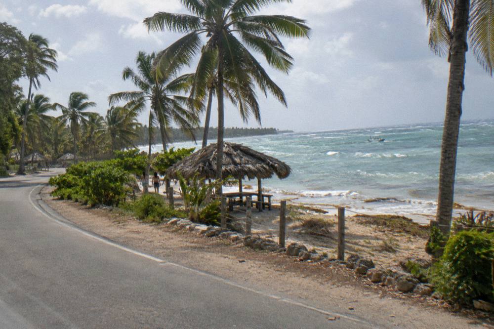 Coastal highway curving past palm plantations toward the sea