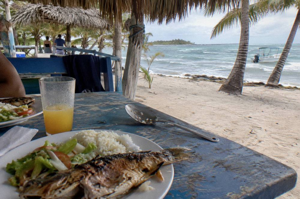 Buffet lunch of grilled fish rice and salad under a palm thatch roof