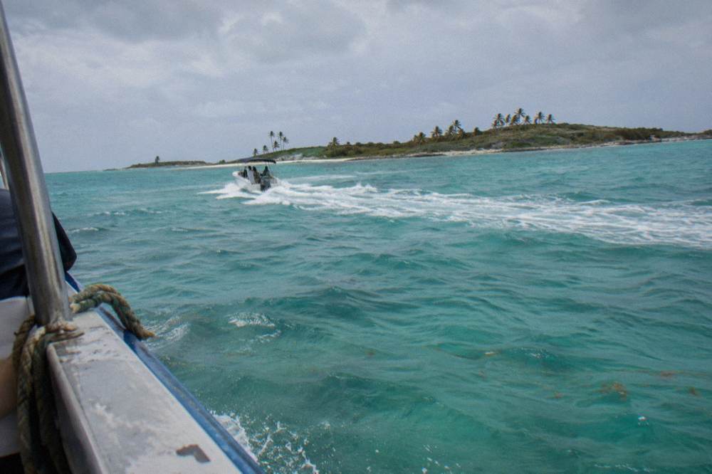 Speedboat crossing open turquoise water toward a tree covered island