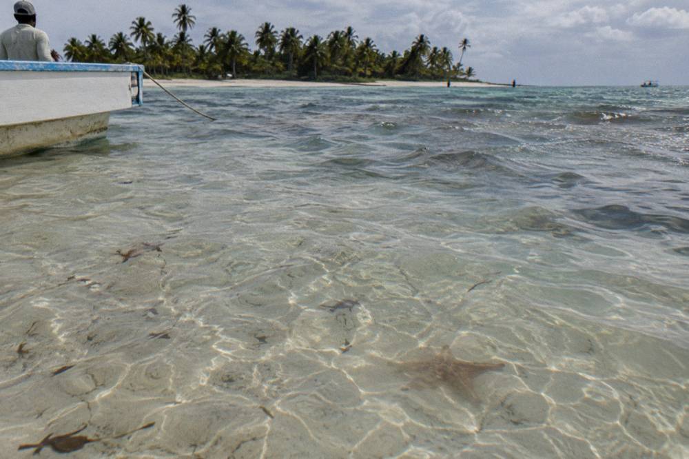 Shallow sandbar pool with calm clear water and distant palm island