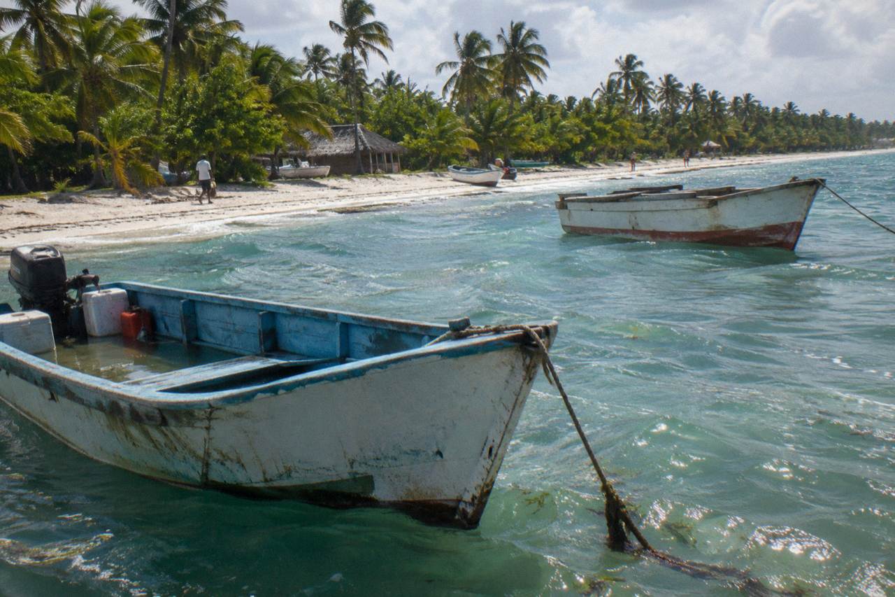 Wooden boats moored in clear turquoise water beside a palm-lined beach