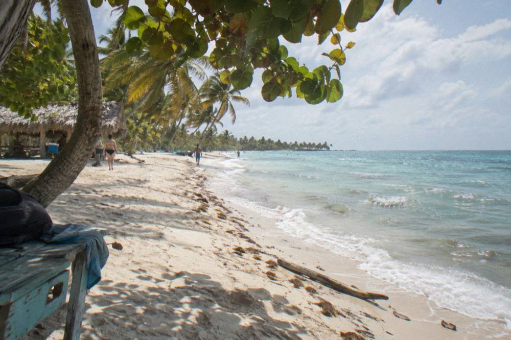 A wide palm-lined beach with white sand and clear shallow water