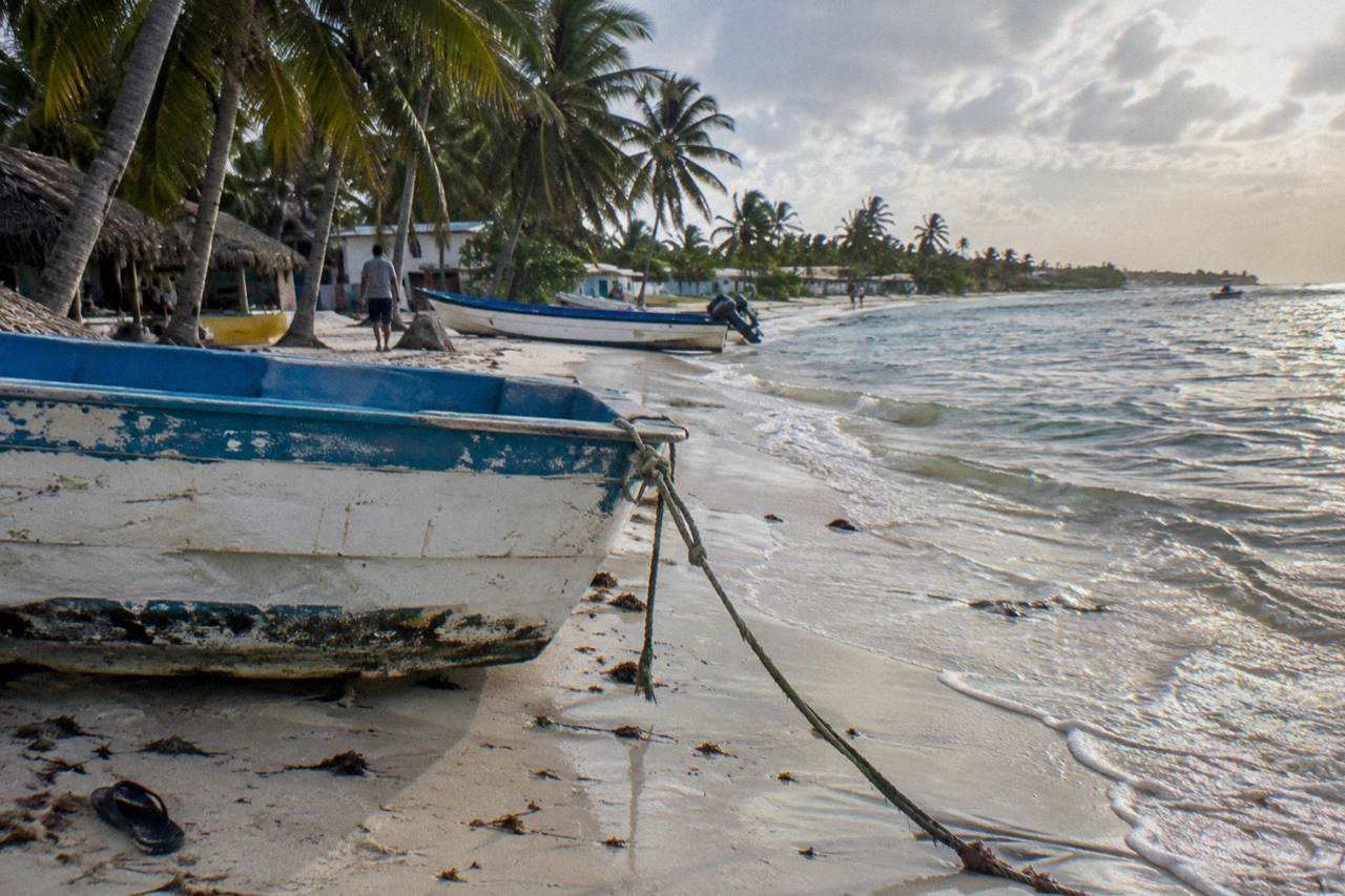 Wooden fishing boats resting on a calm Caribbean beach beside palm trees