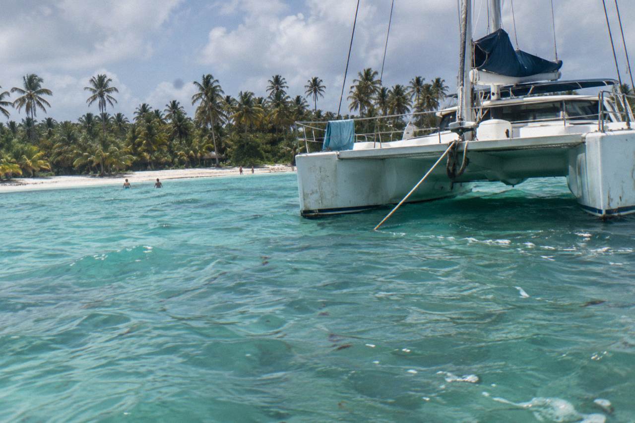 A large catamaran anchored in shallow turquoise water beside a palm-lined Caribbean beach