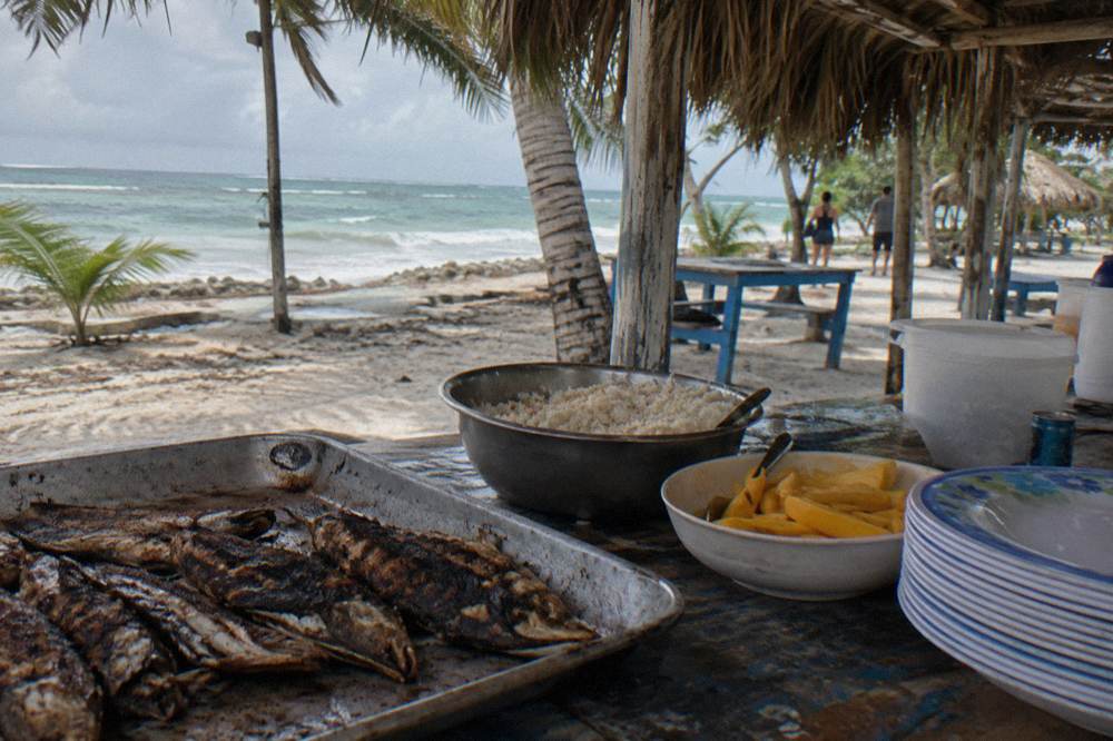 Buffet lunch table with grilled food and tropical fruit under a palm thatch roof
