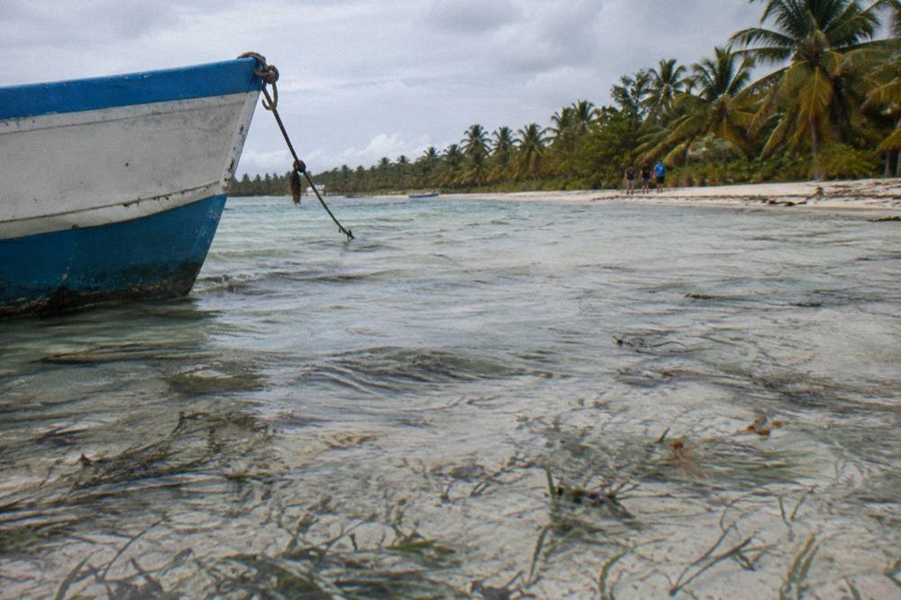 Shallow clear water over sand with scattered seagrass and distant palms
