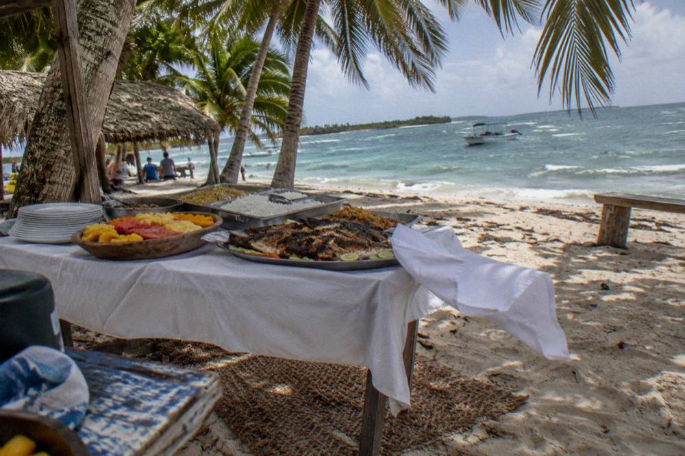 Buffet lunch table with grilled fish, rice and tropical fruit under palm shade