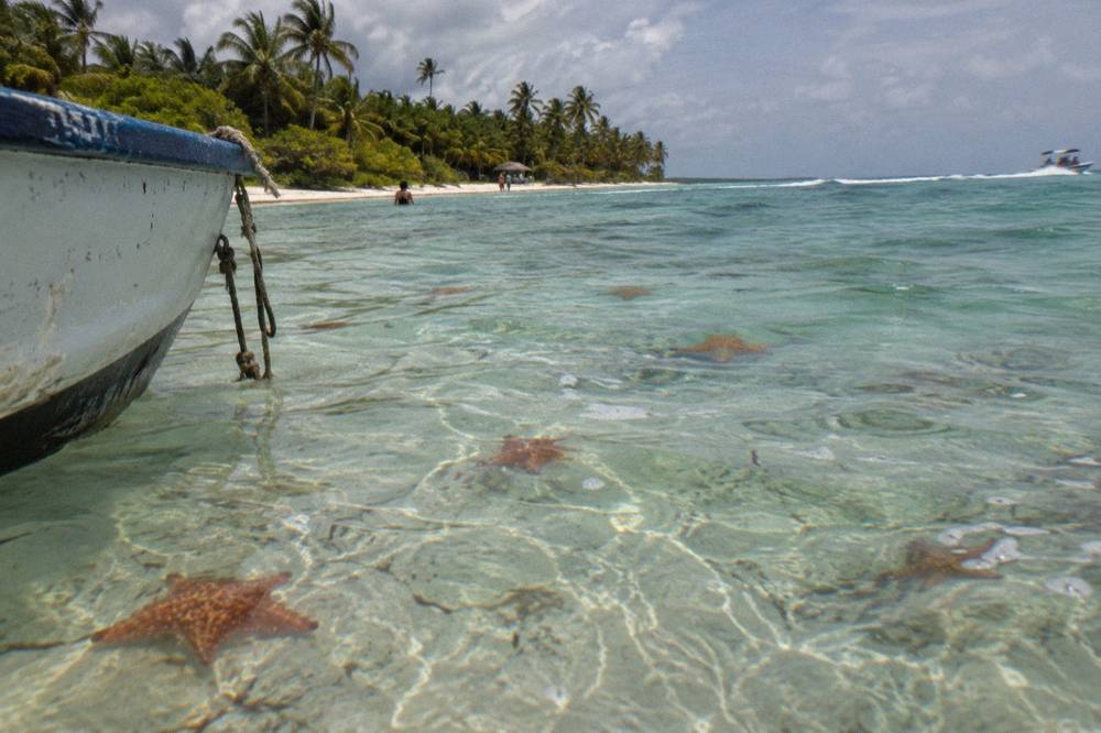 Shallow turquoise natural pool with starfish on the sandy bottom near Saona Island
