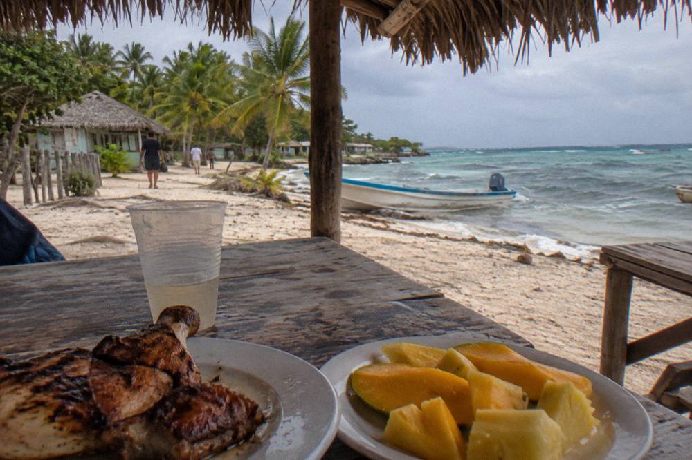 Buffet lunch table with grilled meat and tropical fruit under a thatched palm roof on Saona Island