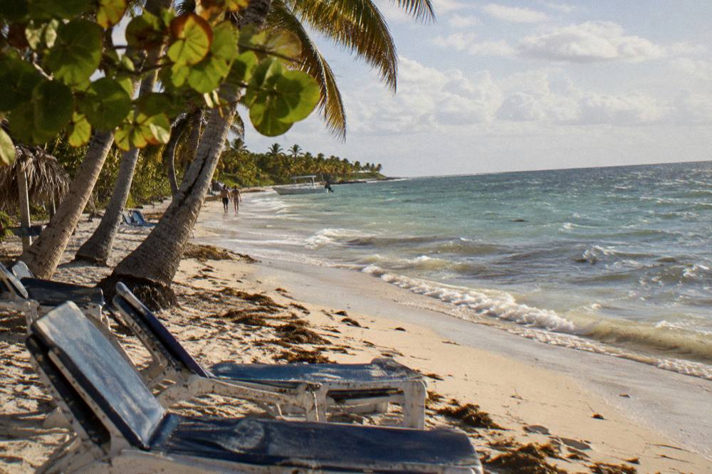 Beach chairs and palm trees along the calm shoreline of Saona Island in late afternoon light
