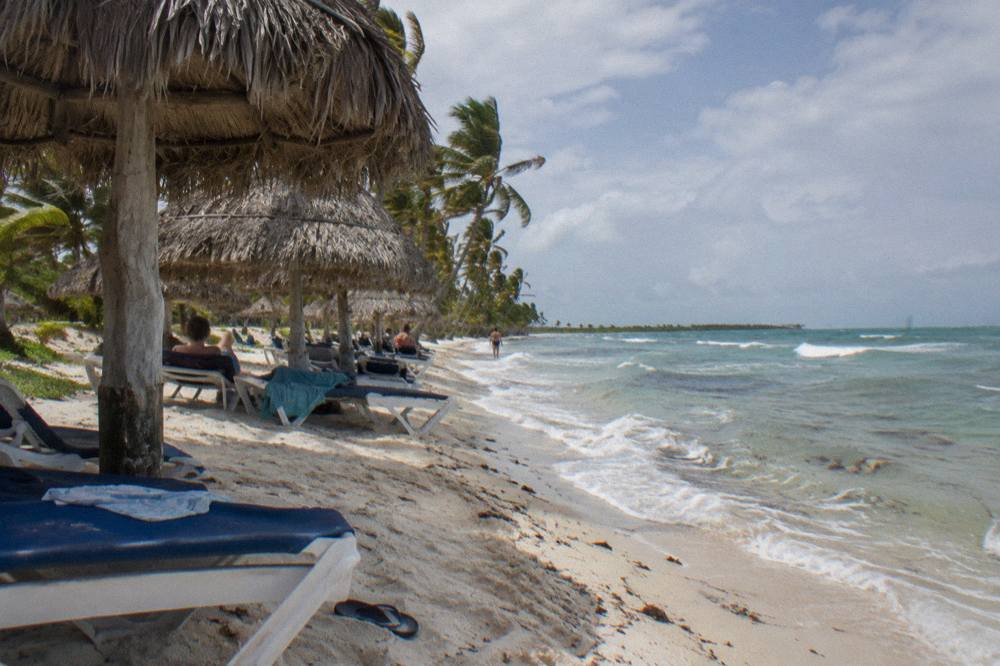 A row of beach loungers and thatched palapa umbrellas on white sand beside clear shallow water