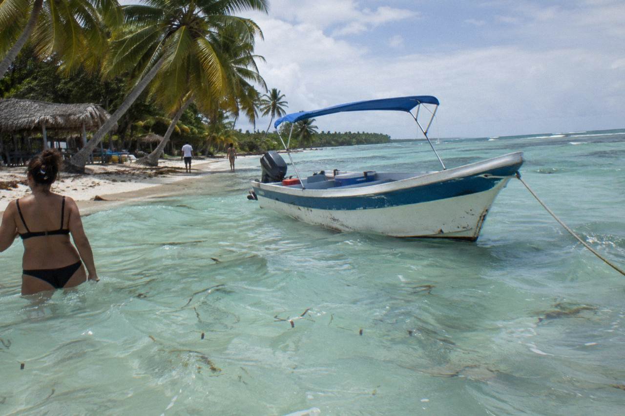 Speedboat anchored in shallow turquoise water beside a palm-lined Caribbean beach
