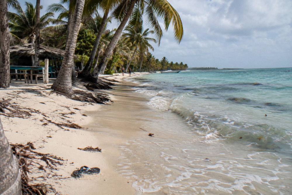Palm trees leaning over an empty white sand beach with shallow clear water