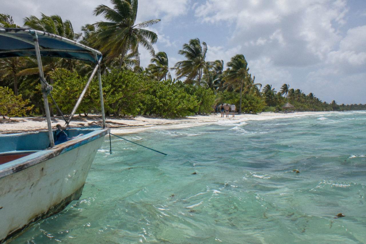 Turquoise shallows and palm trees along a white sand beach on an island shoreline