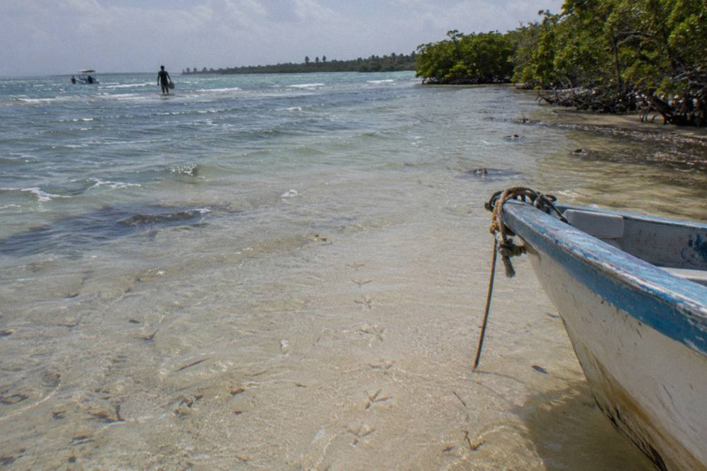 A sandbar of pale sand under clear turquoise water stretching toward mangrove shoreline