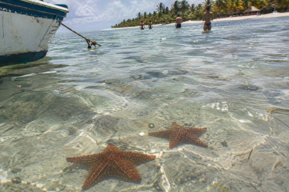 Starfish resting on sand in the shallow clear water of the natural pool