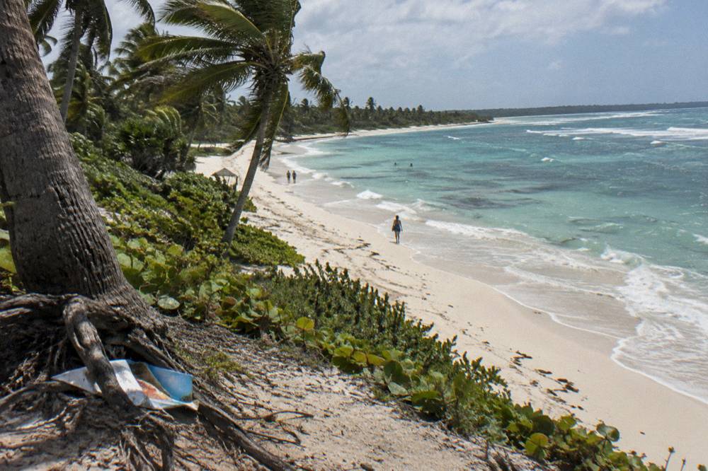 A wide view of Canto de la Playa beach with palm trees and clear shallow water