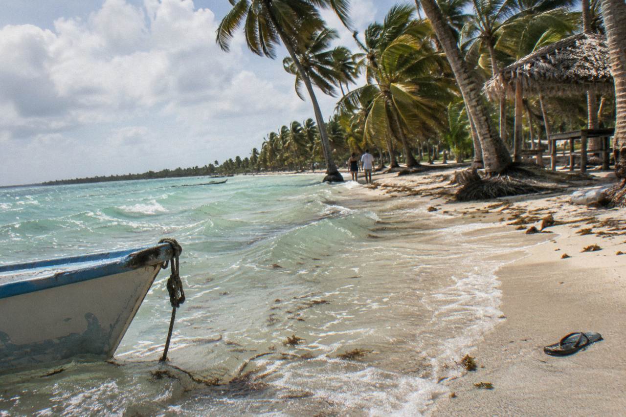A palm-lined white sand beach on Saona Island with calm turquoise water