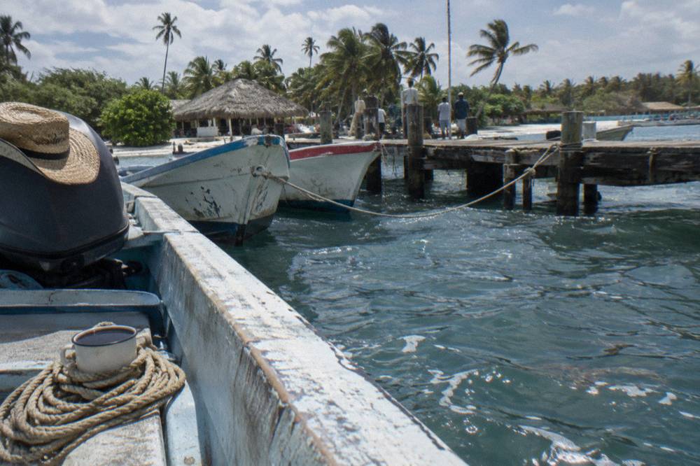 Wooden fishing boats and tour boats moored along the Bayahibe waterfront pier in morning light