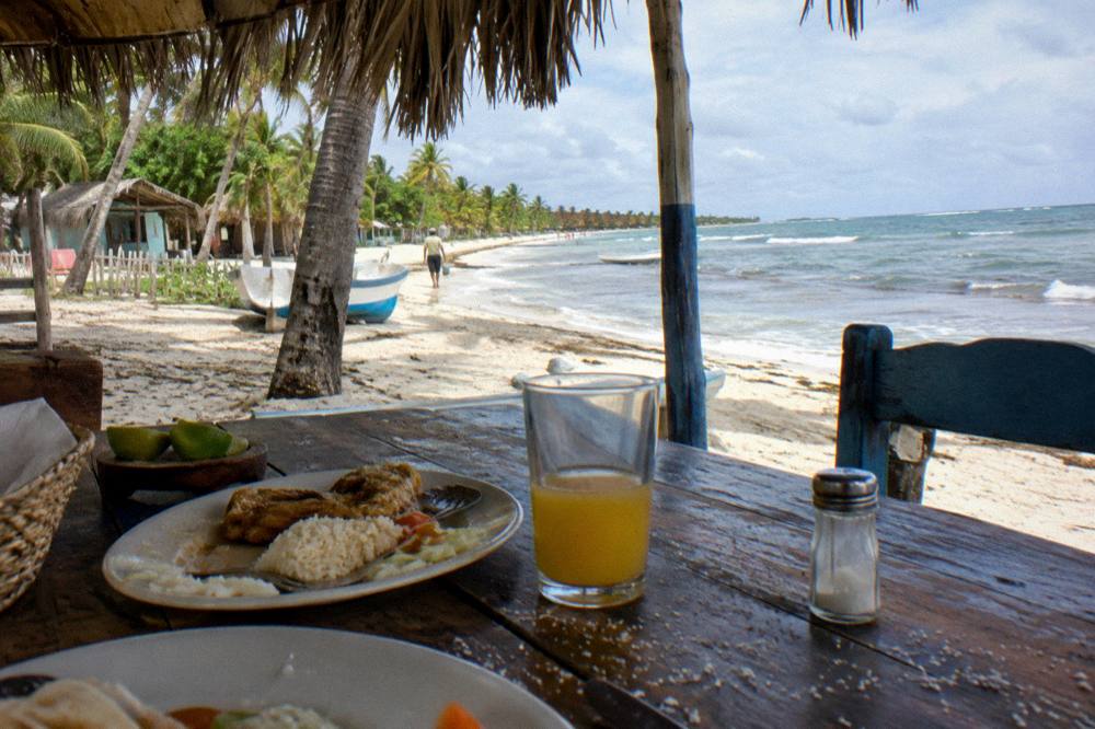 A shaded lunch table set with plates and drinks under palm trees near the beach