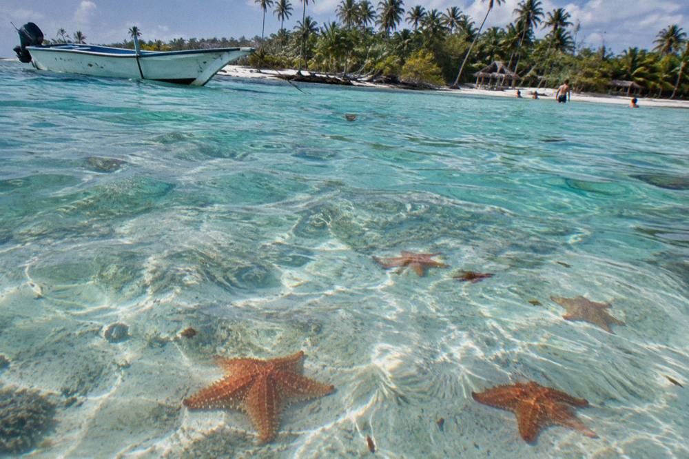 Turquoise shallow water over a white sandbank with starfish resting on the seabed