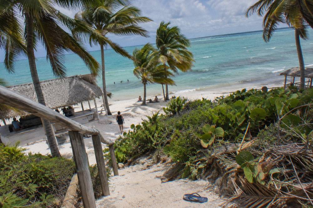 A white sand beach with calm turquoise water and palm trees under a clear sky