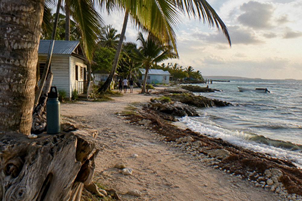 A wooden park sign beside a sandy path with palm trees on a Caribbean island