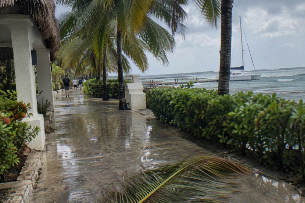Palm-lined resort walkway a short distance from a Caribbean marina
