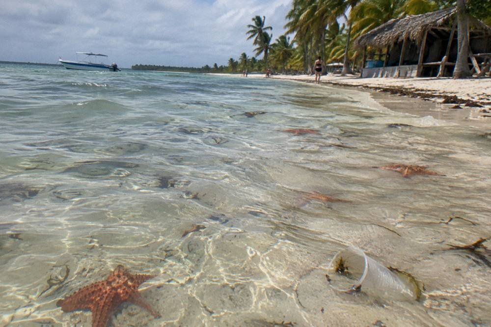 Shallow turquoise sandbar with starfish visible on white sand