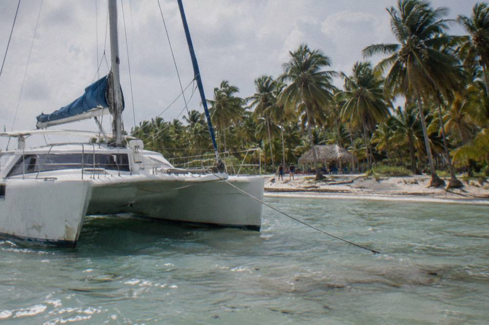 Catamaran moored in clear shallow water near a palm-lined Caribbean beach