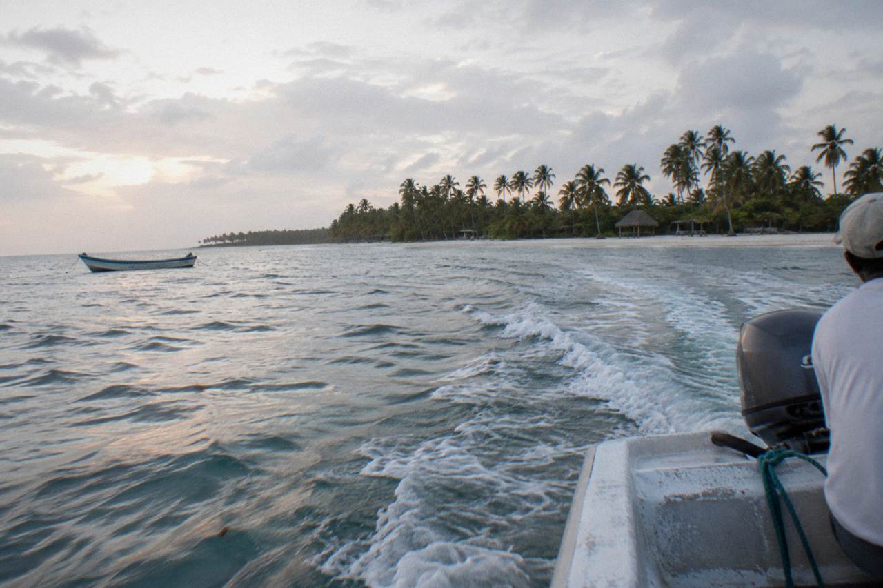 Speedboat approaching a palm-lined white sand beach on Saona Island